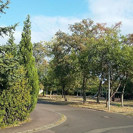 شقة An Den Linden 31 لبسيا المظهر الخارجي الصورة